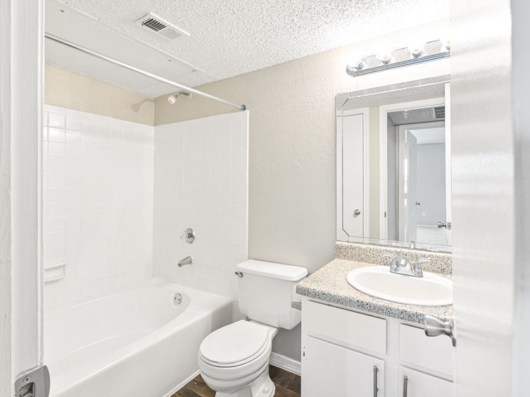 Terrace Unit Bathroom at Bookstone and Terrace Apartments in Irving, Texas